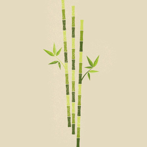 Bambou